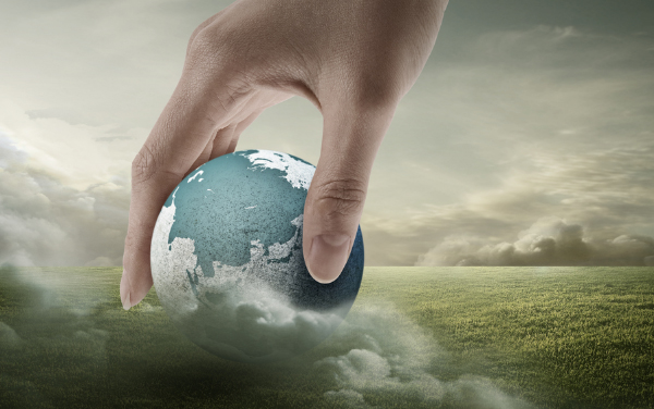 新昌伟易博收支口有限公司