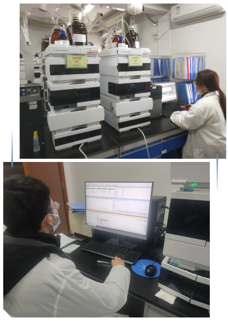 伟易博(中国区)官方网站