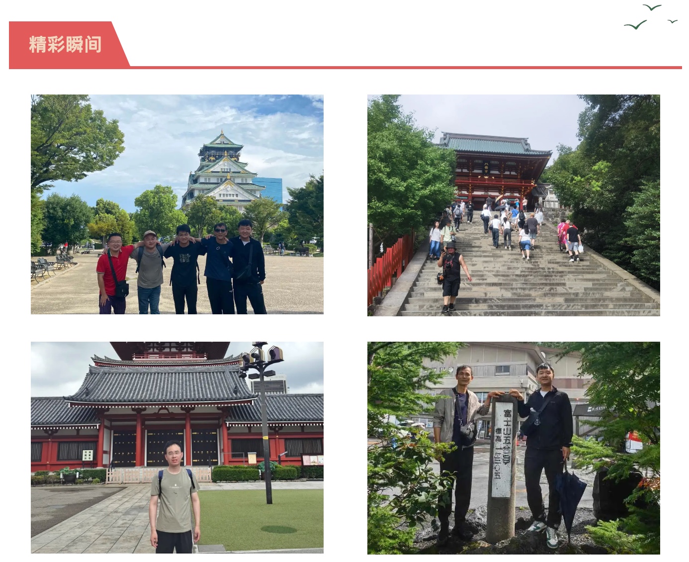 伟易博(中国区)官方网站